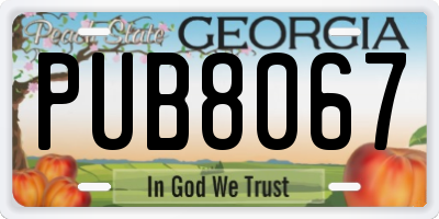 GA license plate PUB8067