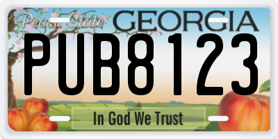 GA license plate PUB8123