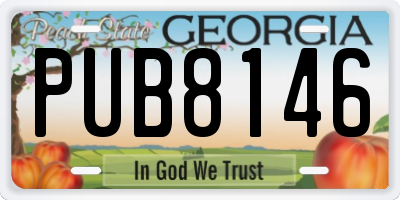 GA license plate PUB8146