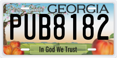 GA license plate PUB8182