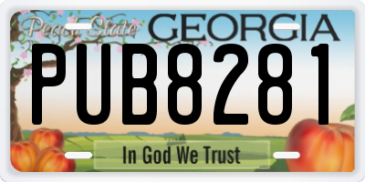 GA license plate PUB8281