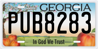 GA license plate PUB8283