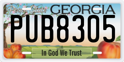 GA license plate PUB8305