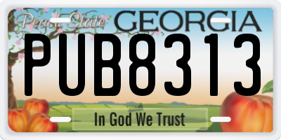 GA license plate PUB8313