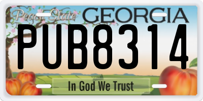 GA license plate PUB8314