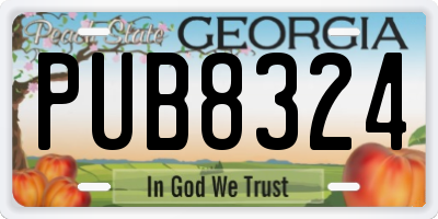 GA license plate PUB8324