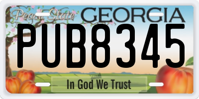 GA license plate PUB8345