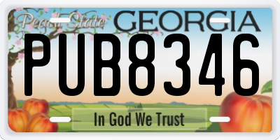 GA license plate PUB8346