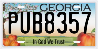 GA license plate PUB8357