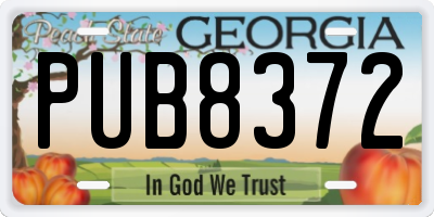 GA license plate PUB8372
