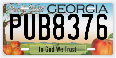 GA license plate PUB8376