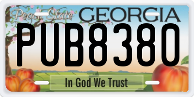 GA license plate PUB8380