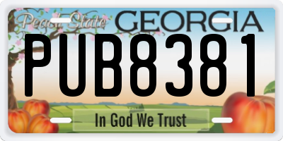 GA license plate PUB8381