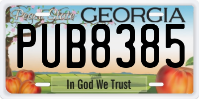 GA license plate PUB8385