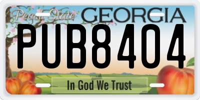 GA license plate PUB8404