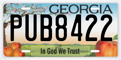 GA license plate PUB8422