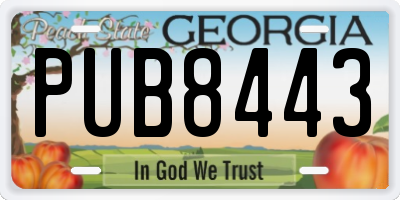 GA license plate PUB8443