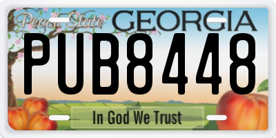 GA license plate PUB8448