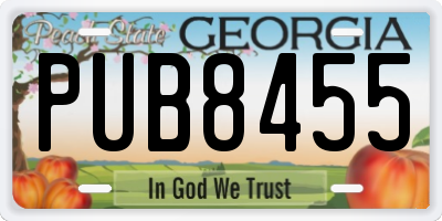 GA license plate PUB8455