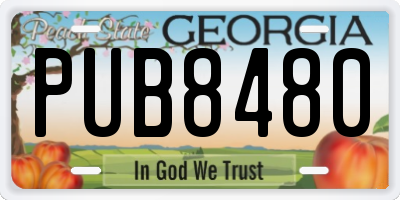 GA license plate PUB8480