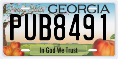 GA license plate PUB8491
