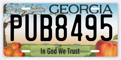 GA license plate PUB8495
