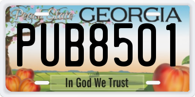 GA license plate PUB8501
