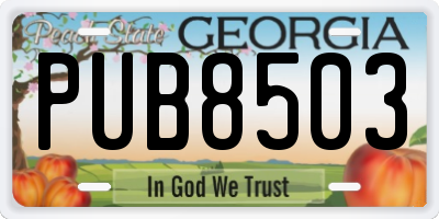 GA license plate PUB8503