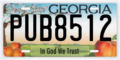 GA license plate PUB8512