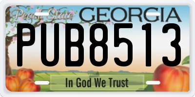 GA license plate PUB8513