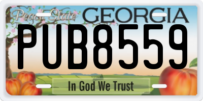 GA license plate PUB8559