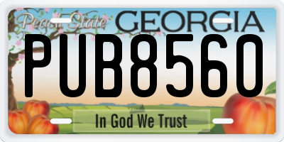 GA license plate PUB8560