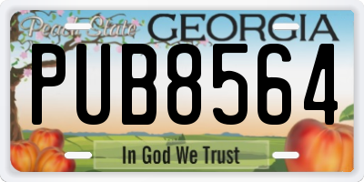 GA license plate PUB8564
