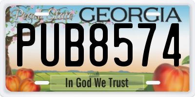 GA license plate PUB8574
