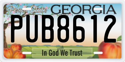 GA license plate PUB8612