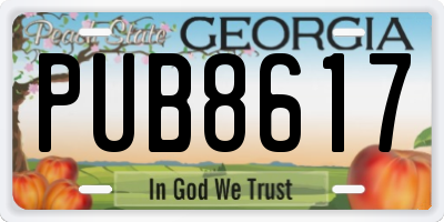 GA license plate PUB8617