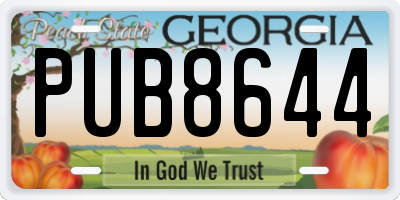 GA license plate PUB8644