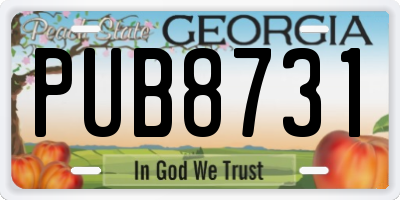GA license plate PUB8731