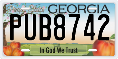 GA license plate PUB8742