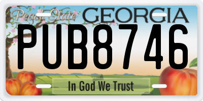 GA license plate PUB8746