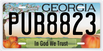 GA license plate PUB8823