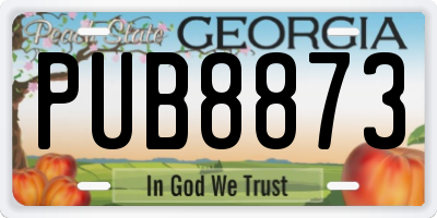 GA license plate PUB8873