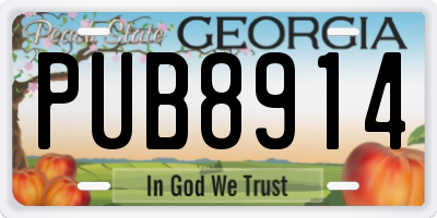 GA license plate PUB8914