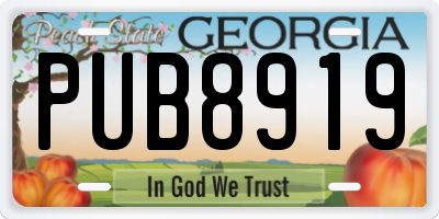 GA license plate PUB8919