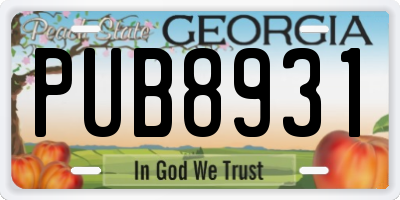 GA license plate PUB8931