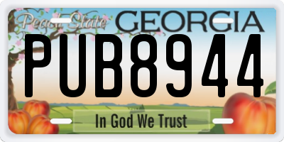 GA license plate PUB8944