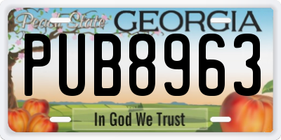 GA license plate PUB8963