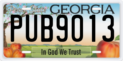 GA license plate PUB9013