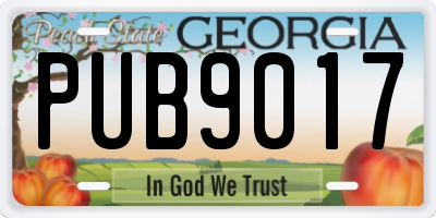 GA license plate PUB9017