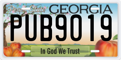 GA license plate PUB9019